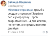 головлев прибивка